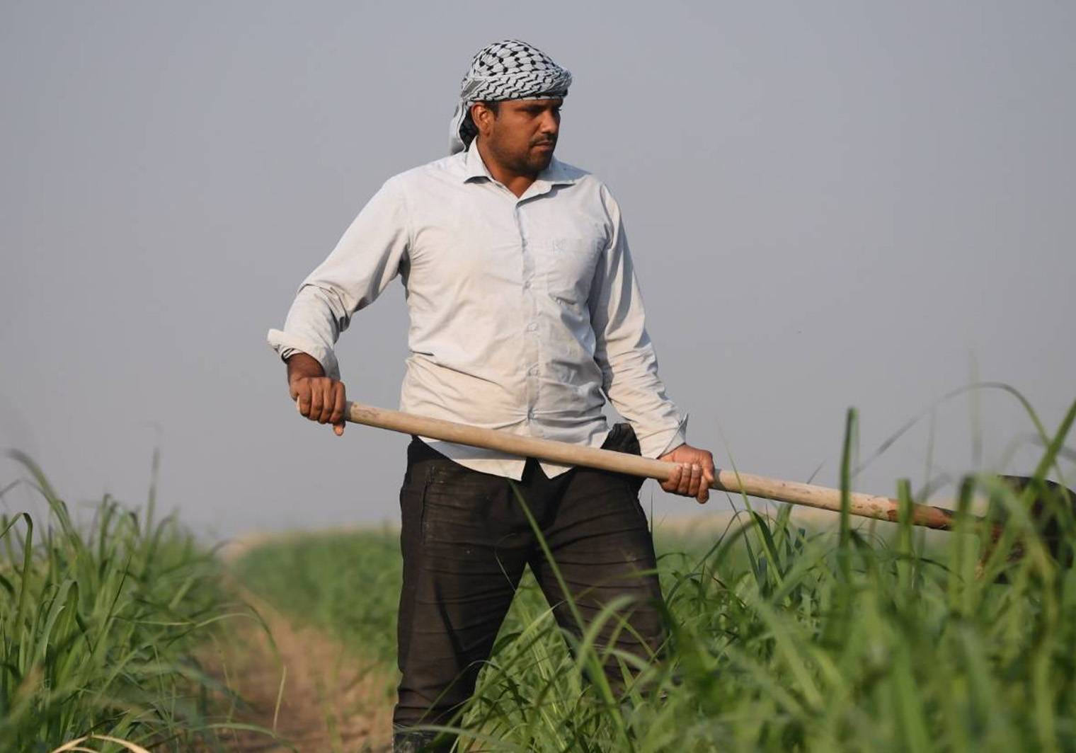 بوی غیرت، طعم زندگی….