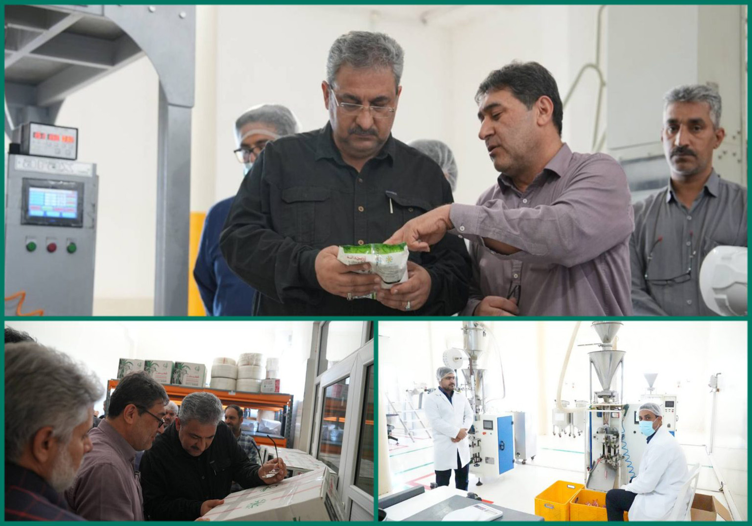 مدیرعامل شرکت توسعه نیشکر در بازدید از کشت و صنعت حکیم فارابی؛